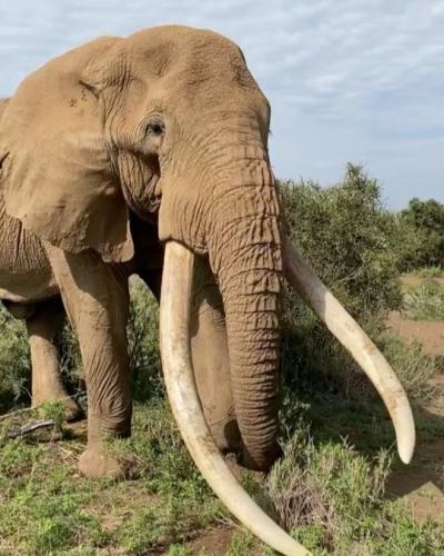 tumblr_0f2e82383cbbb91da73fff21774c40cb_e979d98a_540