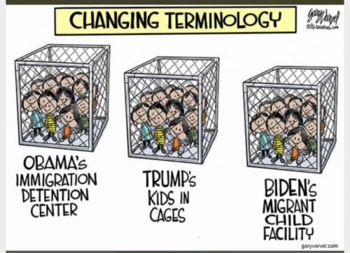 FBC80A55-C58D-45AE-9CB2-48065C265E35