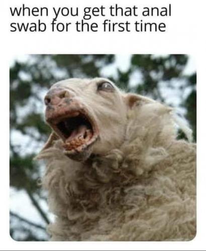 18:39:06 GMT-0800 (PST).image