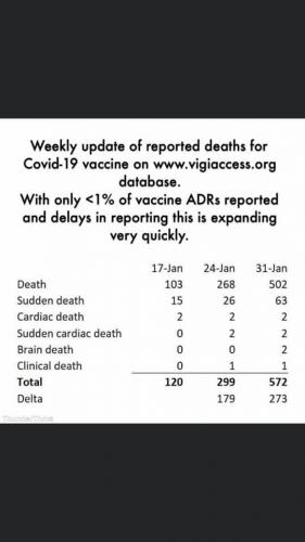 Weekly_COVID_Vaccine_Deaths_20210131