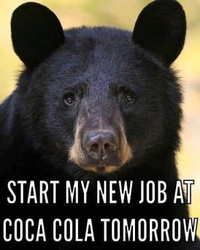 21:37:18 GMT-0800 (PST).image