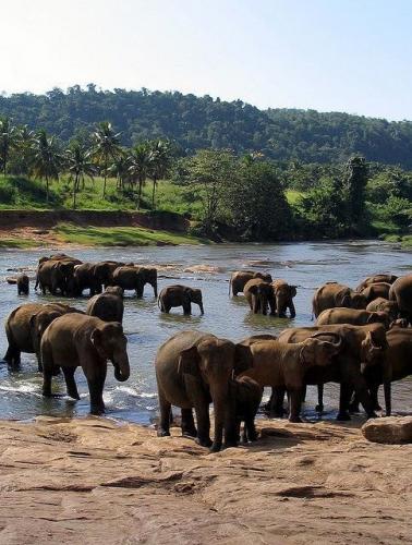 153646214_1521654624700549_5078531326651755967_n