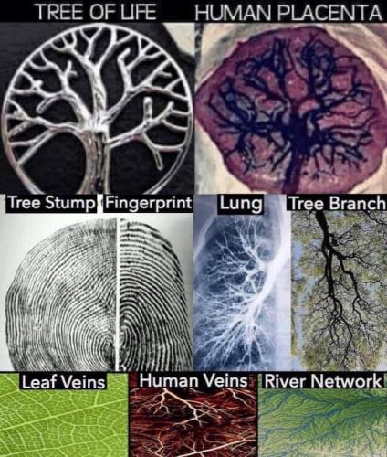 19:40:19 GMT-0800 (PST).image