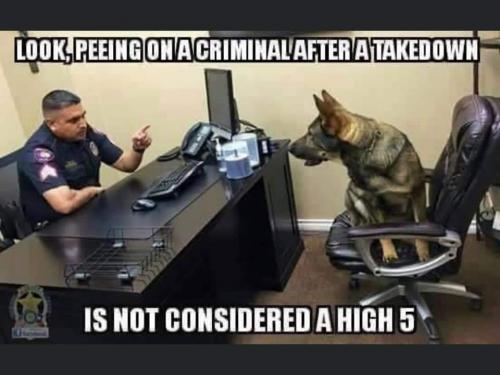 04:53:51 GMT-0600 (CST)