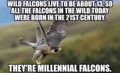 18:57:52 GMT-0600 (CST)