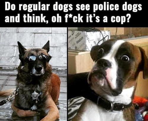 21:56:03 GMT-0800 (PST).image