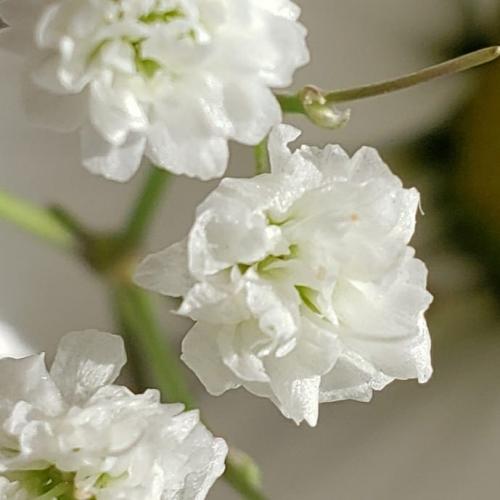 10:55:17 GMT-0500 (EST)