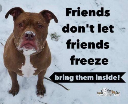 16:33:47 GMT-0500 (EST)