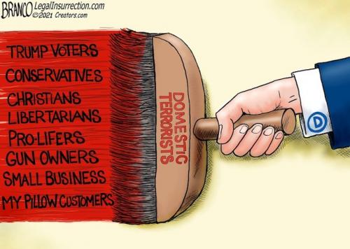 DOMESTIC TERRORIST CARTOON