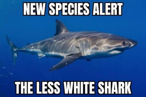 153742947_10224899713938668_4110642618943953159_n