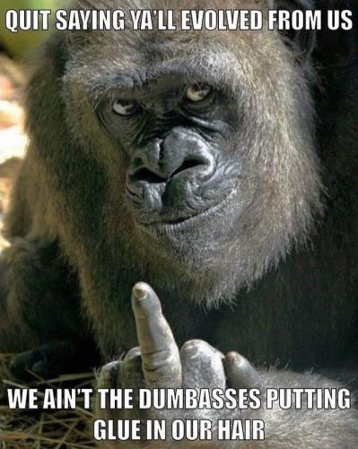 20:43:55 GMT-0600 (CST)