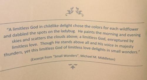 99710C71-AF3A-4392-98DB-ED9AD71012BF