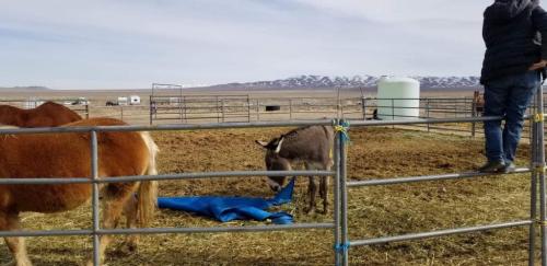 19:56:20 GMT-0800 (PST).image