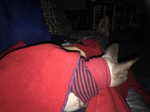 12:32:58 GMT-0500 (EST).image