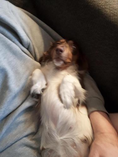 20:00:58 GMT-0800 (PST)