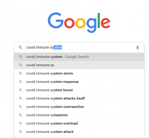 googleautocomplete04