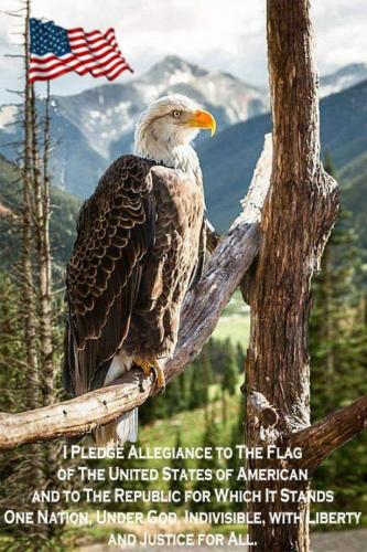pledge of alegence01