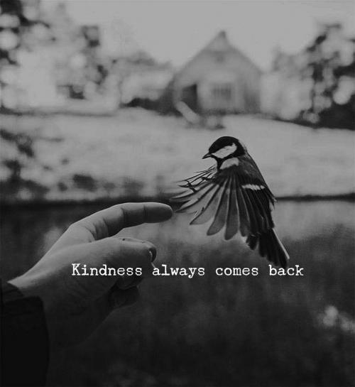 74525304_10215841448968857_5626685162403135488_o