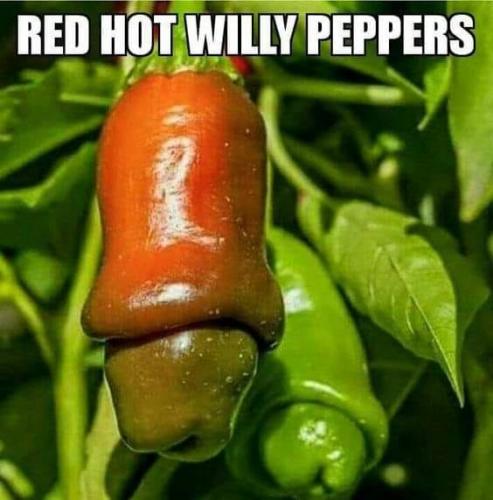 WILLY PEPPERS