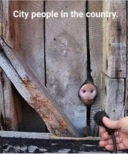 20:50:27 GMT-0500 (EST).image