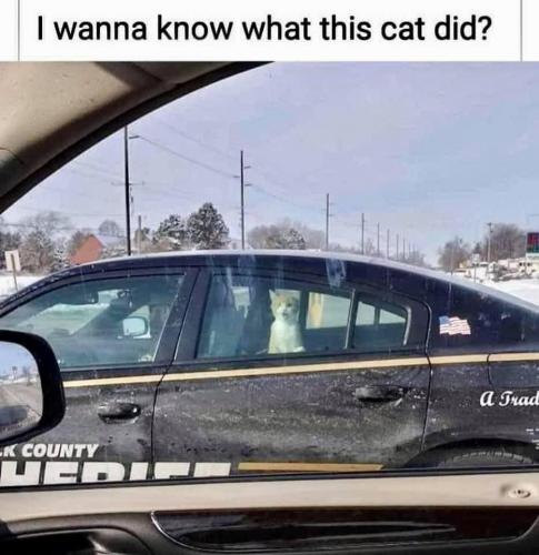 21:29:23 GMT-0800 (PST).image