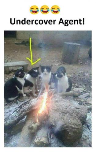 17:38:24 GMT-0500 (EST)