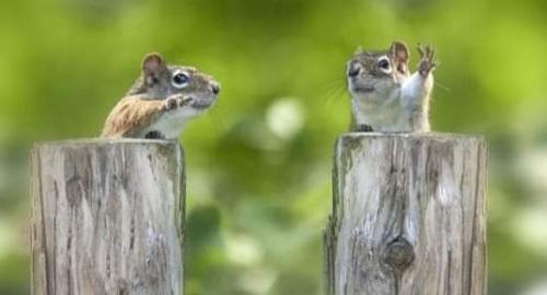 12:45:20 GMT-0500 (EST)