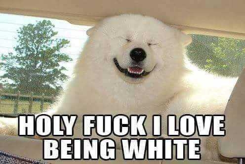 08:47:05 GMT-0600 (CST)