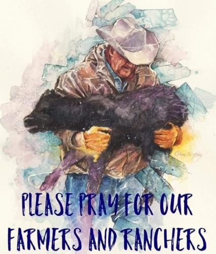 09:51:53 GMT-0600 (CST).image