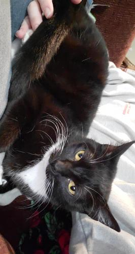 05:14:34 GMT-0800 (PST)