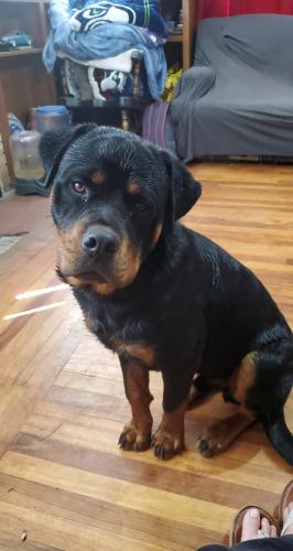 17:00:48 GMT-0800 (PST)