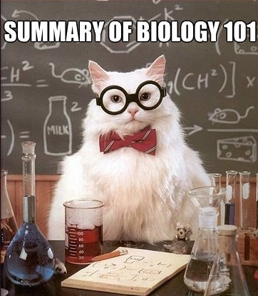 bio