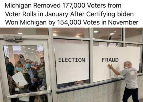 voterfraud131