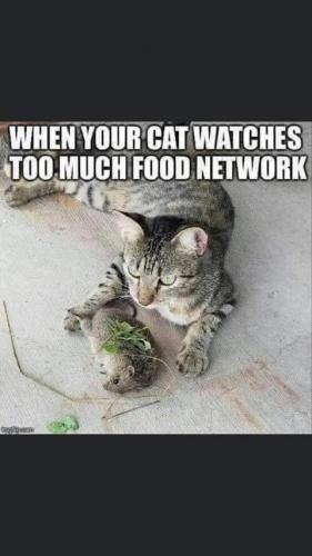 11:25:38 GMT-0800 (PST)