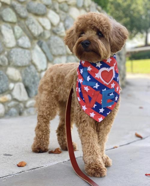 08:25:33 GMT+0000 (GMT).image