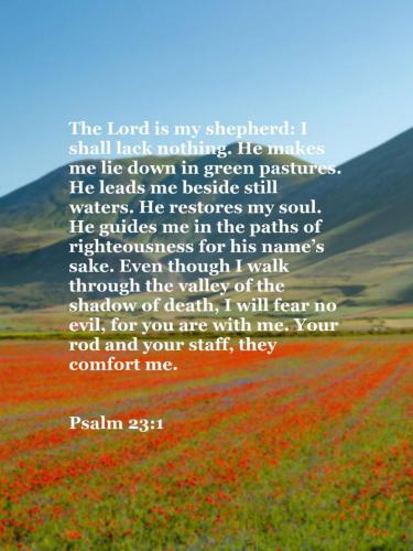 11:49:46 GMT-0500 (EST)