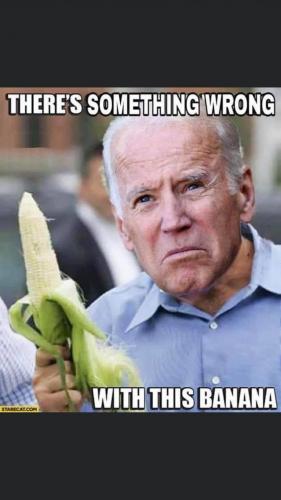 103242319_3347674718599952_7550629201054390932_o