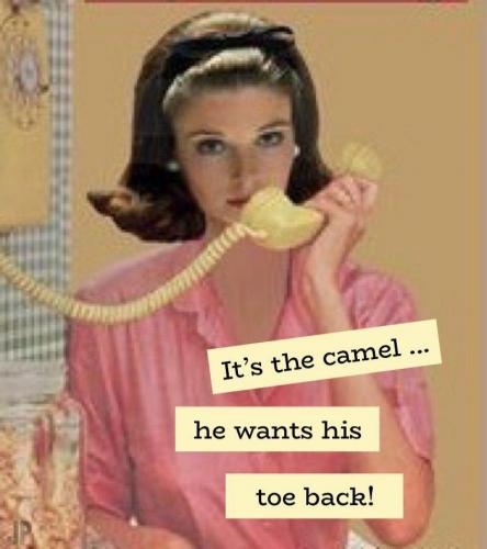 62239318_1259420317568076_4832160360611971072_n