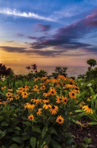 154665769_1520310804834931_2104440169845392518_n