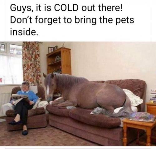 02:55:03 GMT-0600 (CST)