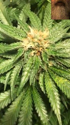 00:19:00 GMT-0600 (CST).image