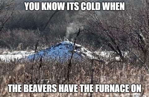 17:41:17 GMT-0600 (CST)