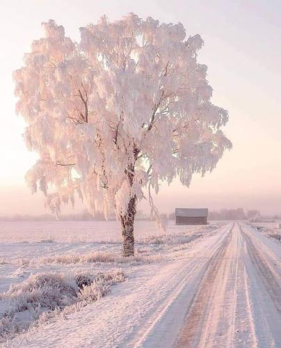 13:28:15 GMT-0600 (CST)