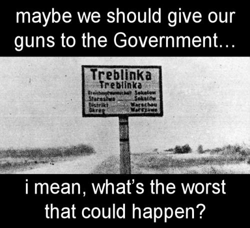 gun control161