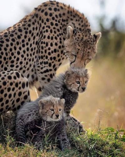 154795612_1807490242750513_699852768917356328_n