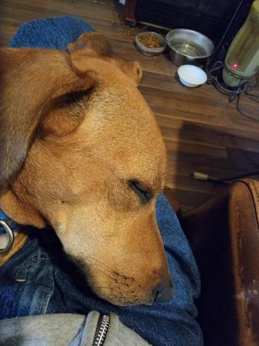 18:50:22 GMT-0600 (CST)