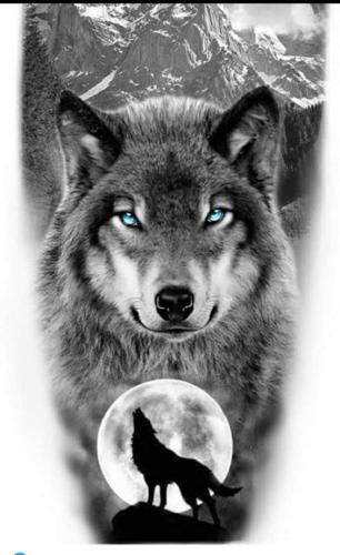 tumblr_2c7e05e8c9baadc664a2c2491126c328_99ccbbbd_640