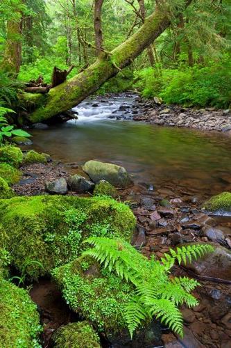 148860353_1512402855625726_2153132483441580285_n