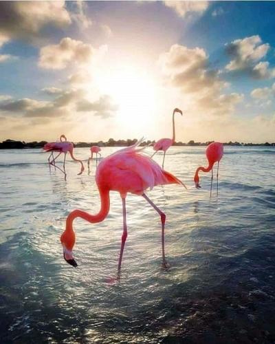 tumblr_3fb9cabb42a7c38a56fdded597f5226d_246087ae_540