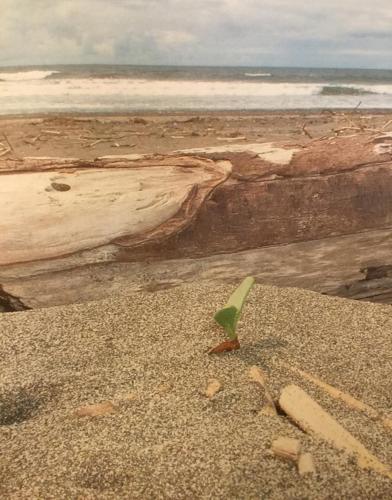 472BCB1E-F946-4067-AF2D-641D2D0C946D